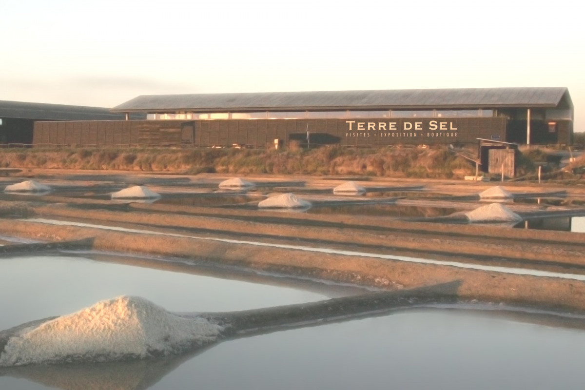 Salorge de Terre de sel - Marais salants de Guérande