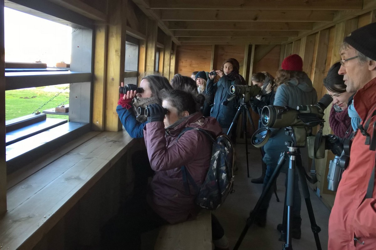 Sortie ornithologique avec les animateurs du Parc