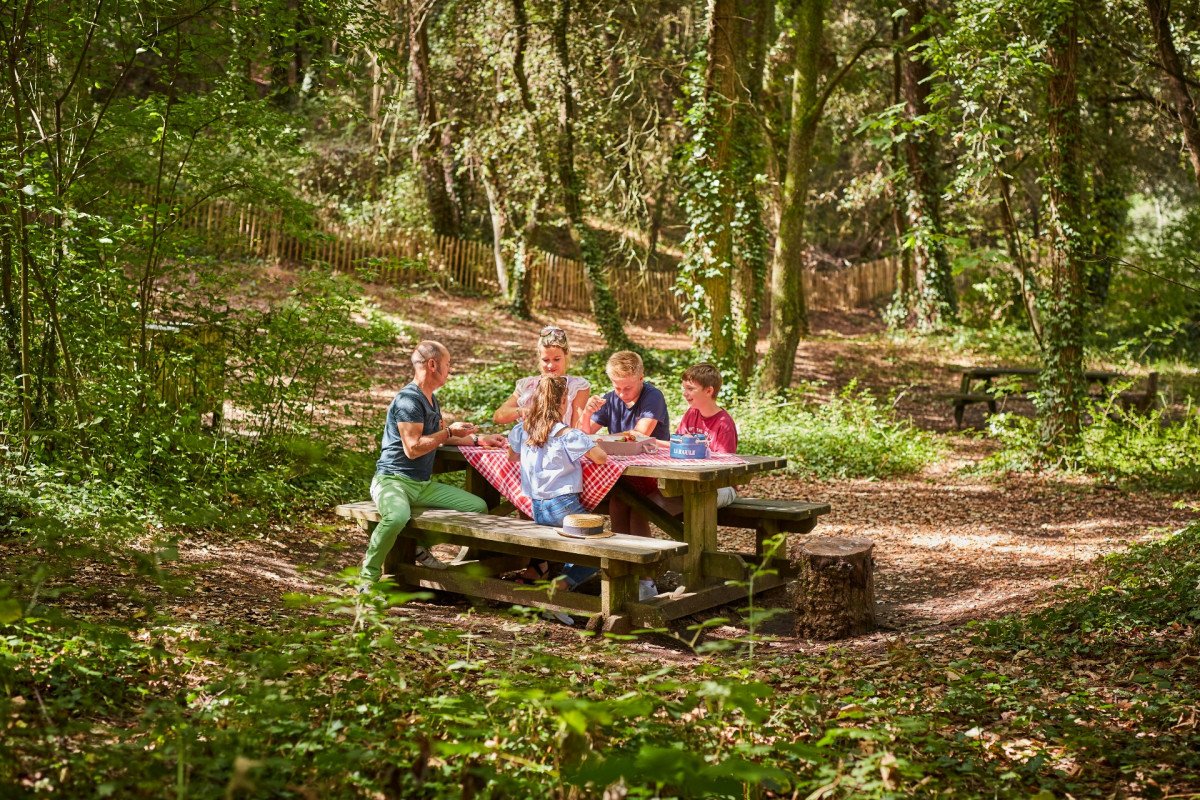 Table de pique-nique dans la Forêt d'Escoublac - La Baule