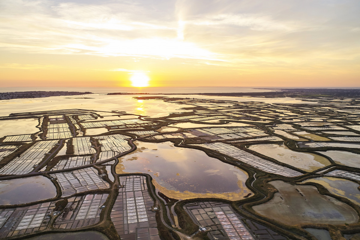 Visit the salt marshes of Guerande