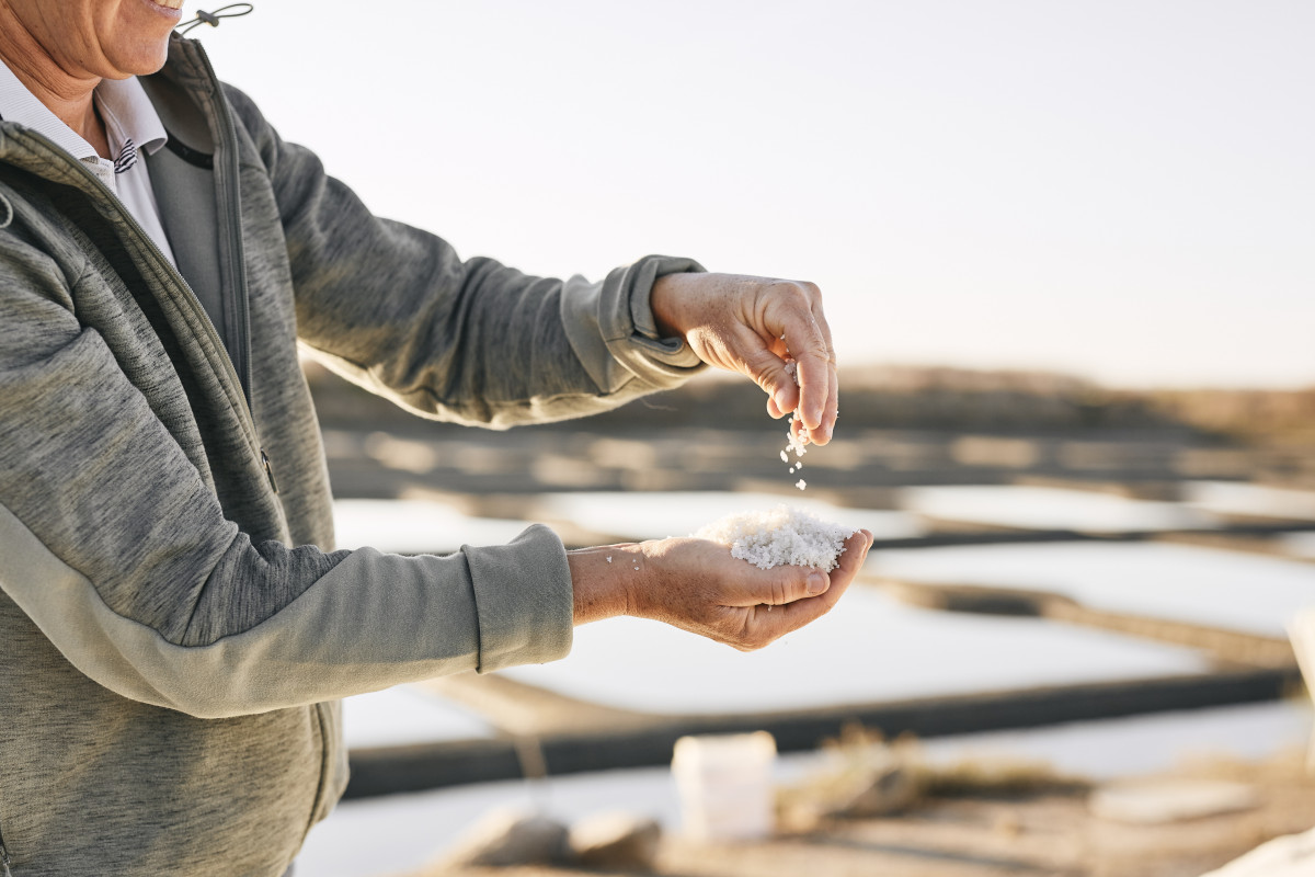 Visitez les marais salants de Guérande et du Mès