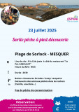 Mesquer Quimiac - découverte pêche à pied - centre du palandrin