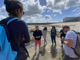 Atelier initiation à la cueillette des algues alimentaires Le Croisic