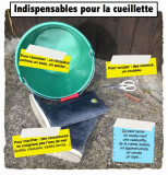 Atelier initiation à la cueillette des algues alimentaires Le Croisic