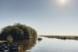 Blog-Alexia nous emmène dans le Parc Naturel Régional de Brière