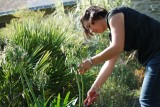 Blog - Rencontre avec Agnès, à la fois au jardin et au moulin à Herbignac