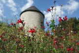 Blog - Rencontre avec Agnès, à la fois au jardin et au moulin à Herbignac