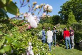 Blog - Yves, l'écolo jardinier du marais à Herbignac - Les Jardins du Marais