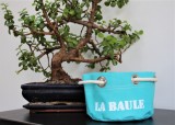 boutique-en-ligne-corbeille-turquoise-la-baule-office-de-tourisme-la-baule-presqu-ile-de-guerande