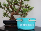 boutique en ligne-corbeille turquoise la turballe-office de tourisme la baule presqu'ile de guerande