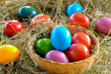Chasse aux oeufs - Piriac-sur-Mer