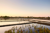 Coucher de soleil sur les marais salants de Guérande en équipe