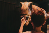 DINO EXPO : Une immersion saisissante à la rencontre des dinosaures