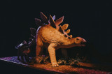 DINO EXPO : Une immersion saisissante à la rencontre des dinosaures