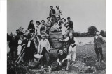 Exposition 39-45 - Vendanges à Kerollivier - Archives et Histoire - Saint-Lyphard