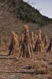 Exposition chaume - Quentin Duval - Kerhinet