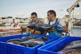 FAQ - Ou le top de vos questions - Où acheter poissons et crustacés en vente directe