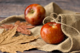 fete-de-l-automne