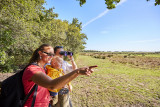 GRP Tour de Brière