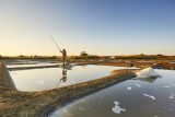 Paludier dans les marais salants de Guérande