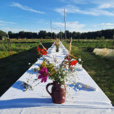 ST MOLF - soirée champêtre - jardin aliwen