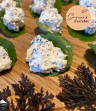 Journée découverte et cuisine de la nature comestible