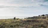 La Baule-Guérande : la mer en hiver - Nature