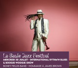 La Baule Jazz Festival - Boney Fields Band