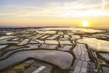 Les marais salants de Guérande - un site fragile