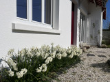 Location de vacances - Villa Les Rosières - Mme Zayonnet - Exterieur maison