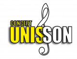 logo-unisson-2599117