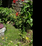 Maison 5 pers - Mme Caillat - Piriac sur Mer
