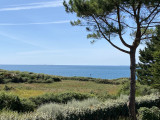 Maison M. Cuisinier - Vue mer - Piriac sur Mer