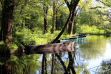 Marais de Brière - Parc naturel régional de Brière