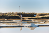 marais salants Assérac