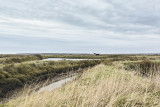 marais salants en hiver