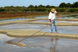 Mesquer - Sortie découverte des Marais Salants