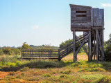 Observatoire du rostu - Mesquer