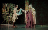 page-1-celto-merlin-2597939