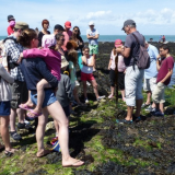 Piriac-sur-Mer - Découverte des algues comestibles de l'océan - 1h30