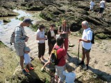 Piriac-sur-Mer - Discover the seaweeds - 1h30