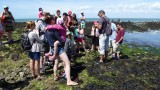 Piriac-sur-Mer - Discover the seaweeds - 1h30