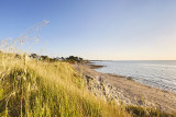 Port au Loup - Piriac sur Mer