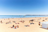 Protégeons nos plages - Chiens limités sur la plage