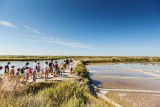 Randonnée marais salants@Alexandre Lamoureux