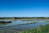  Randonnée au cœur des marais - Guérande