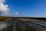 Randonnée dans les marais - Guérande