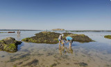 Résidence Les îles