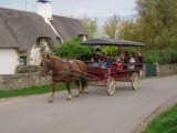 Saint-Lyphard - Faune briéronne - Barge trip and horse-drawn carriage ride - 1h30