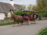 Saint-Lyphard - Faune briéronne - Balade en chaland + calèche - 1h30